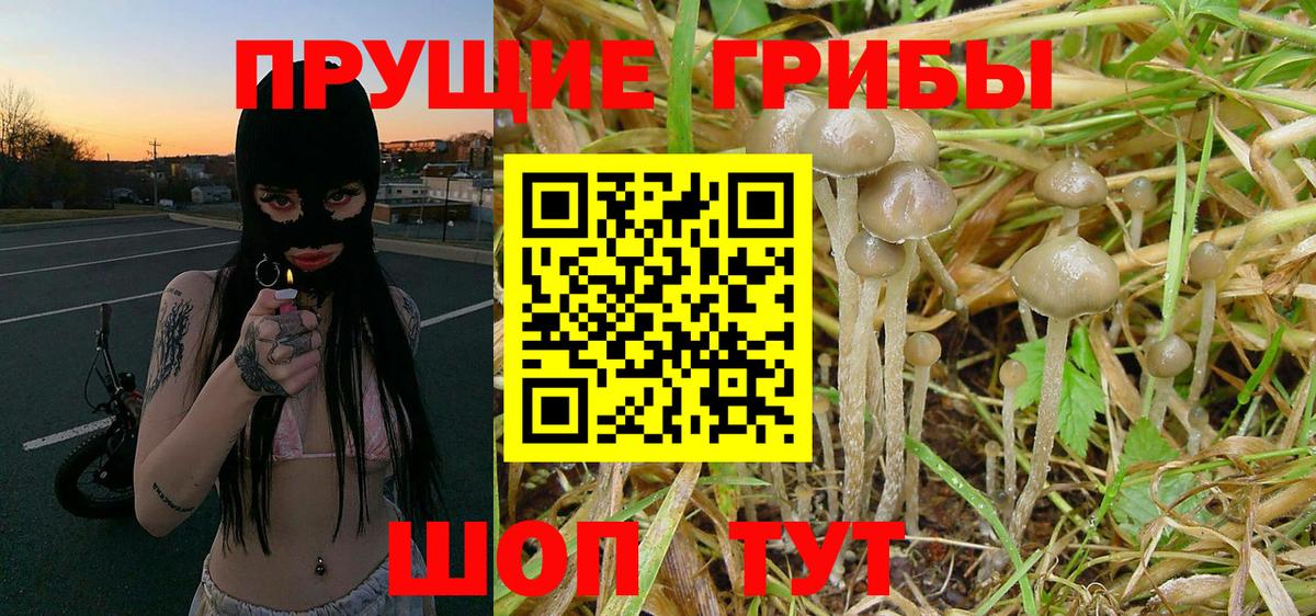 Белгород  Меф МЯУ МЯУ  ГАШИШ  МАРИХУАНА  Cocaine  Вход с VPN  Меф МЯУ МЯУ кристаллы 