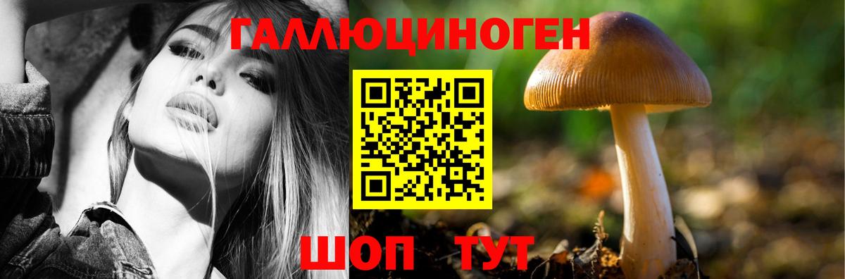 Галлюциногенные грибы Cubensis Белгород